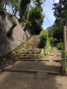 11720128_855046584574779_1726720563_n