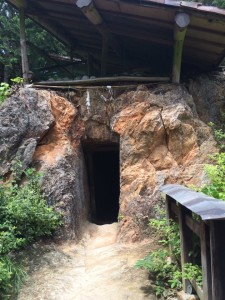 11720656_855046564574781_723615046_n